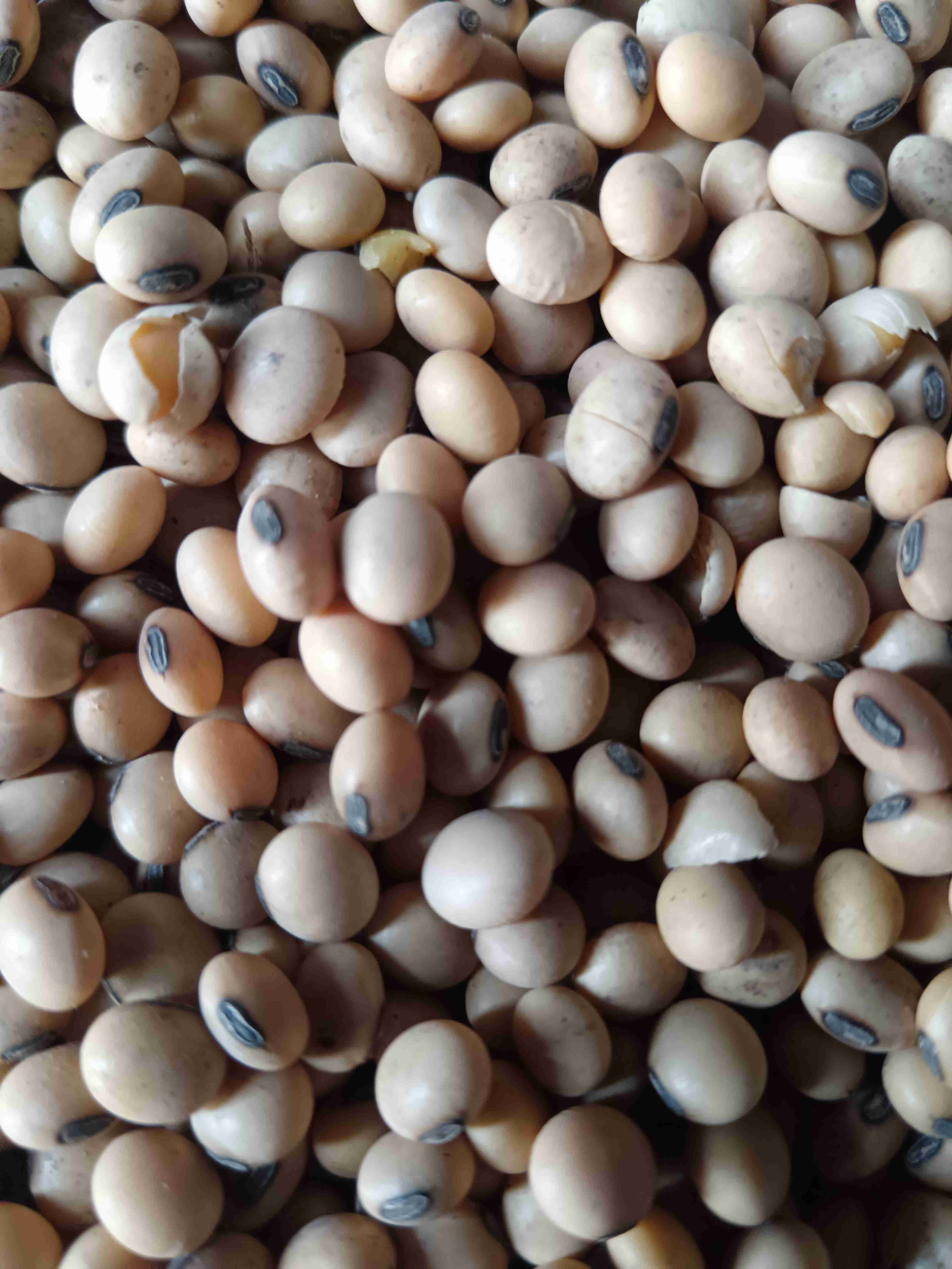 Слайдер слева