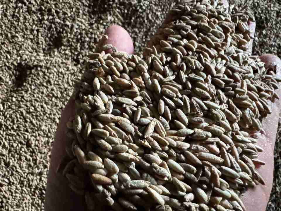 Главное изображение