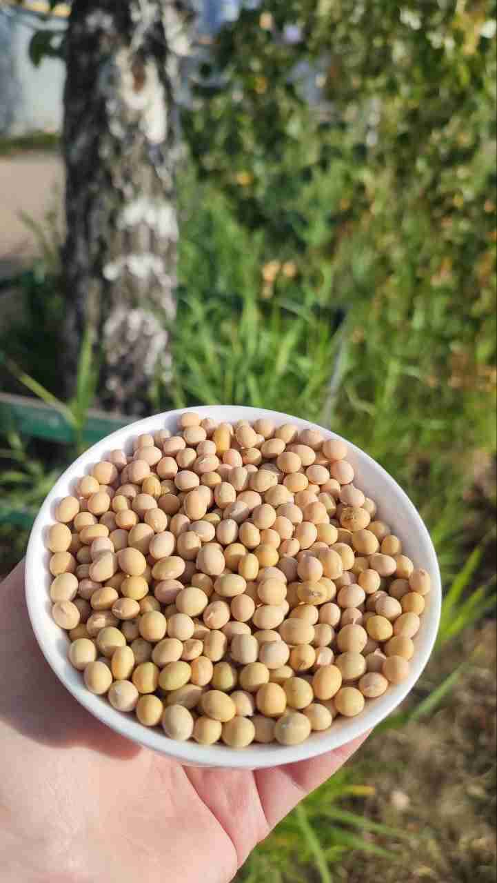 Главное изображение