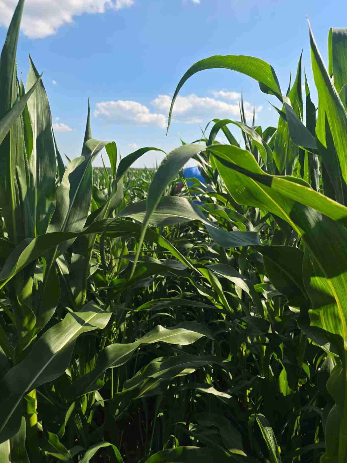 Слайдер слева