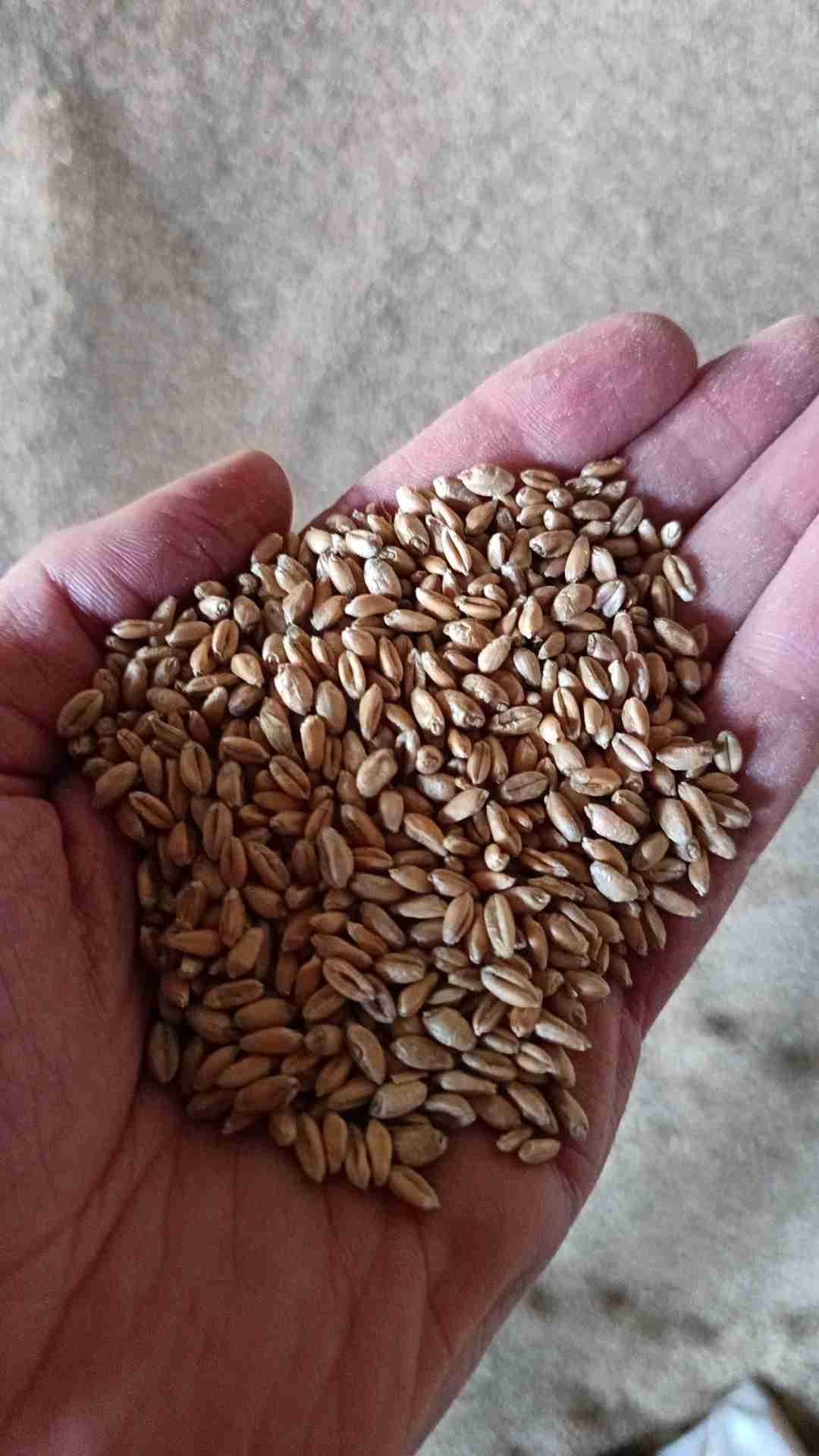 Слайдер слева