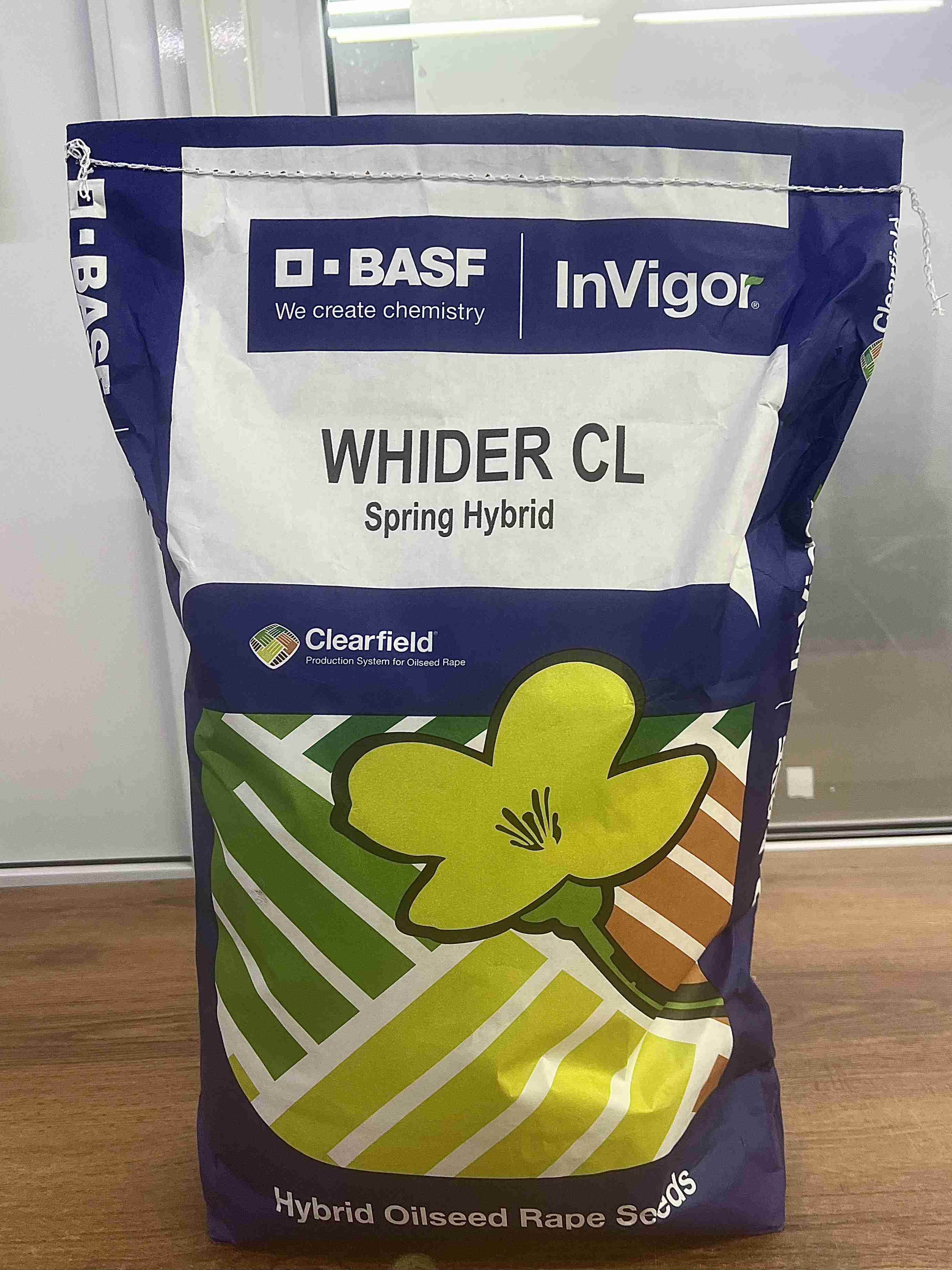 Главное изображение