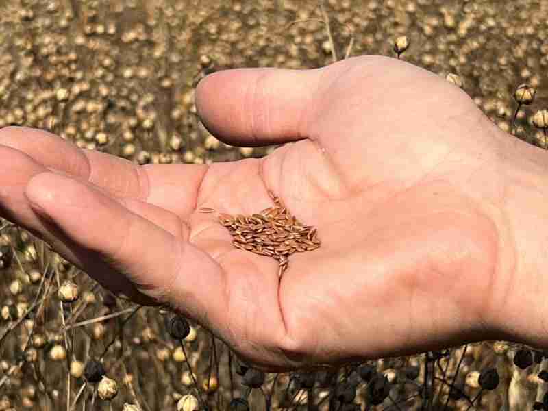 Слайдер слева