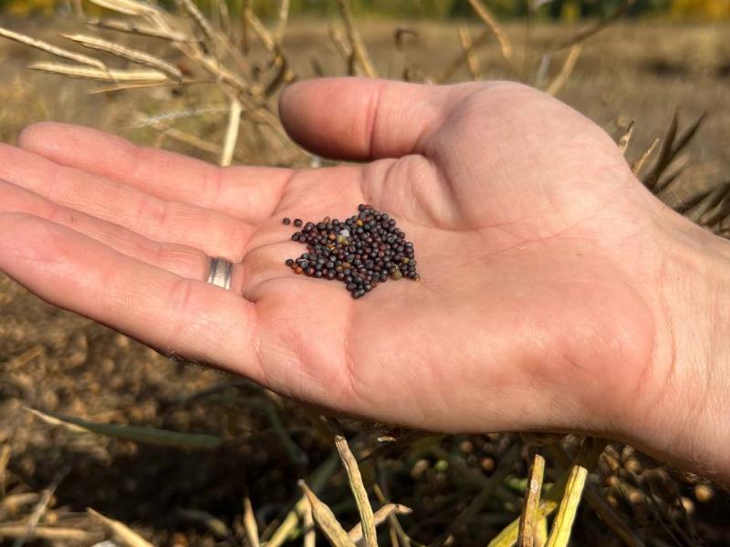 Слайдер слева