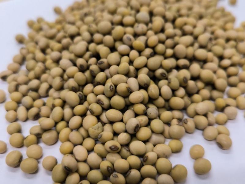 Слайдер слева