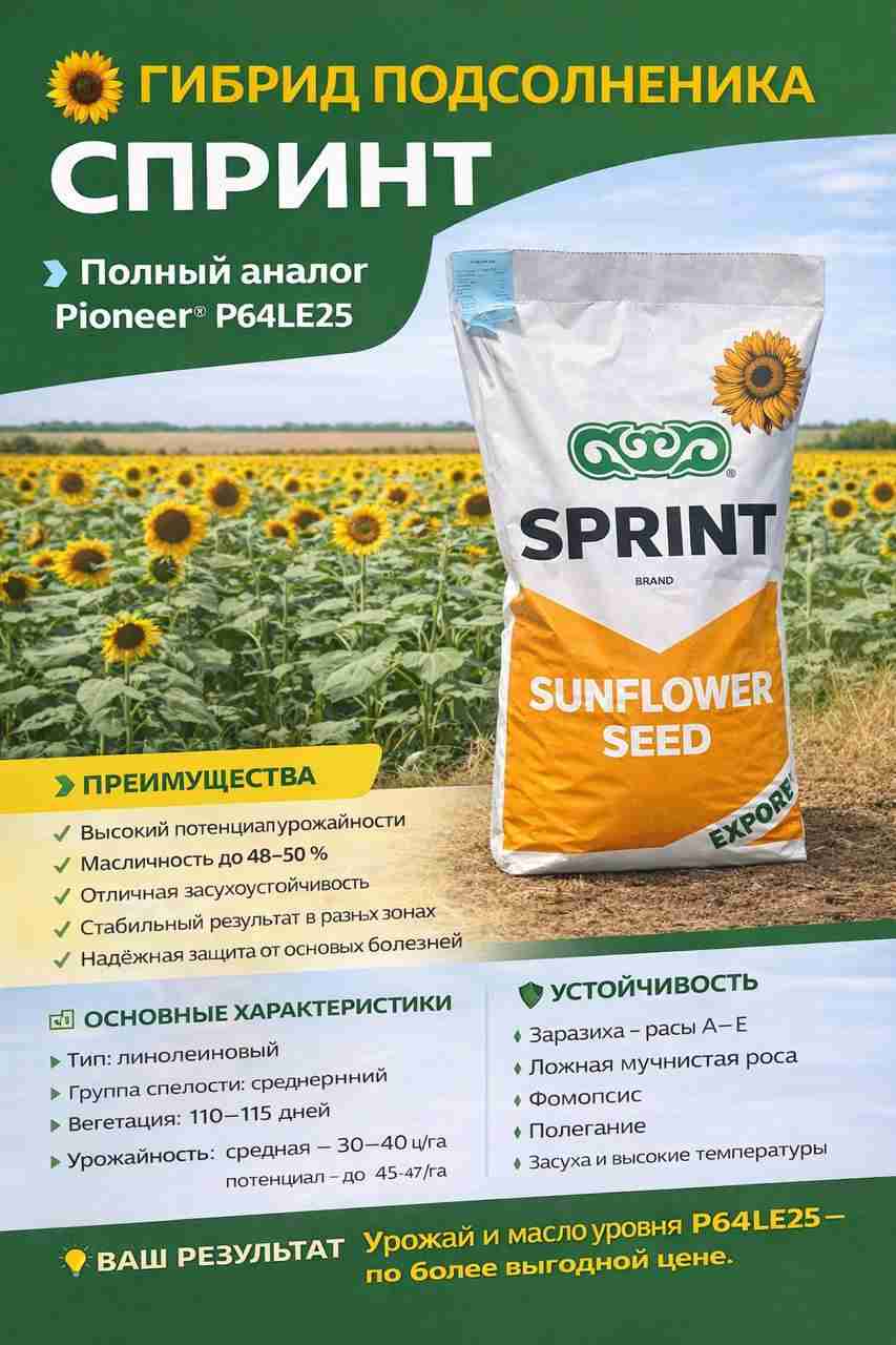 Главное изображение