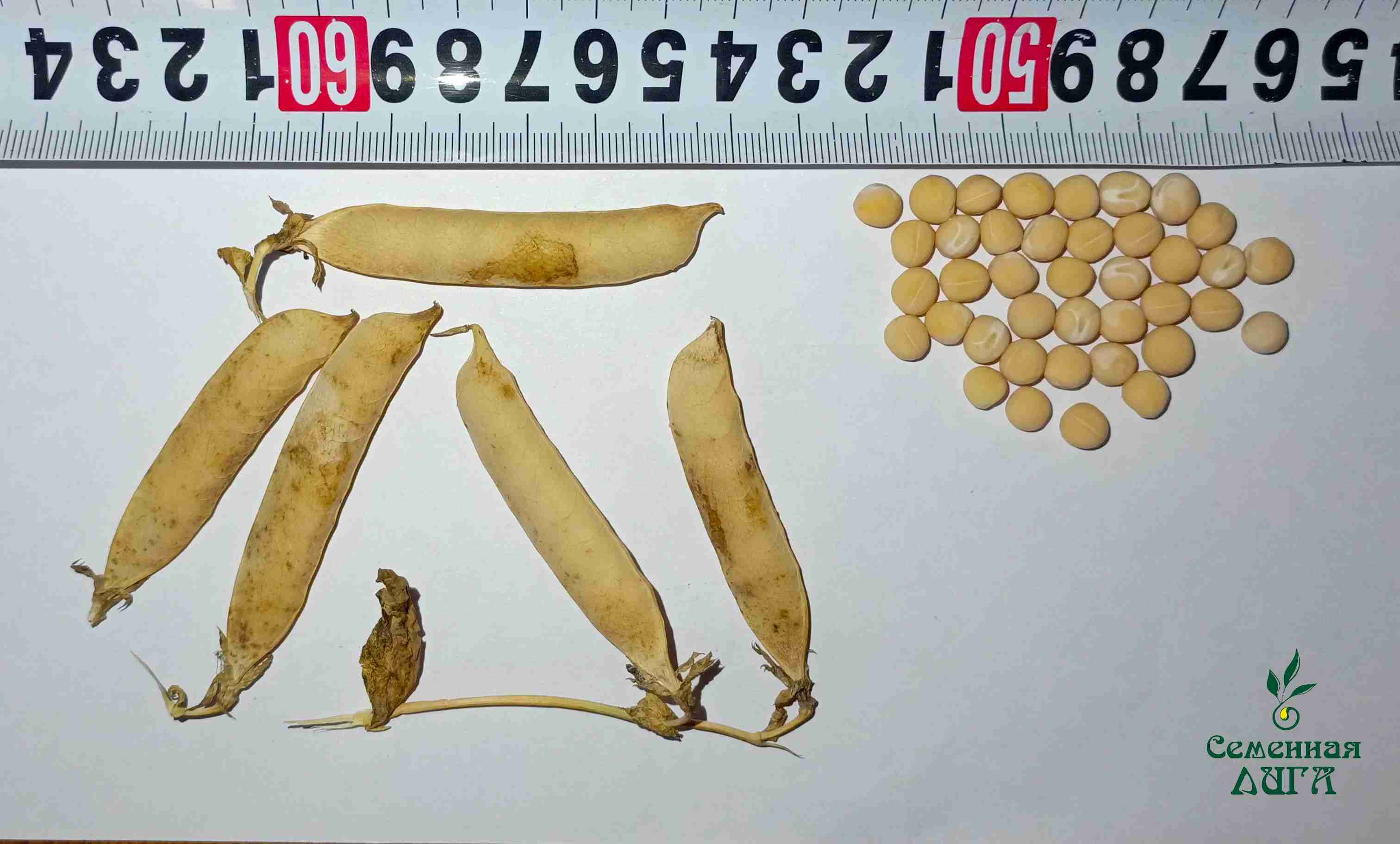 Слайдер слева