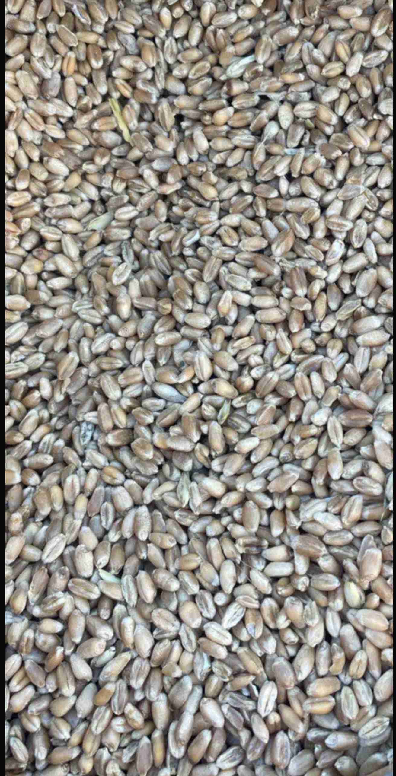 Слайдер слева