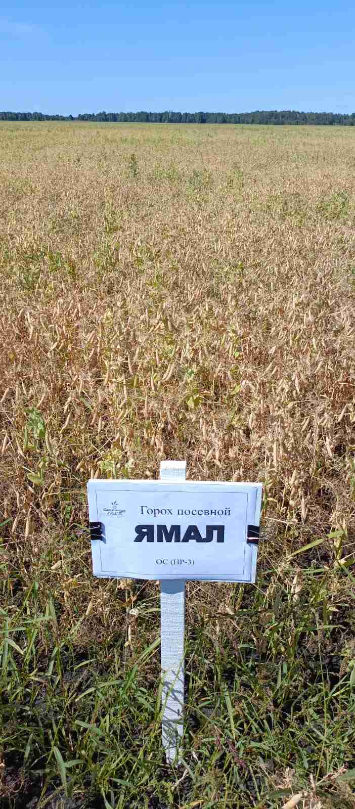 Слайдер слева