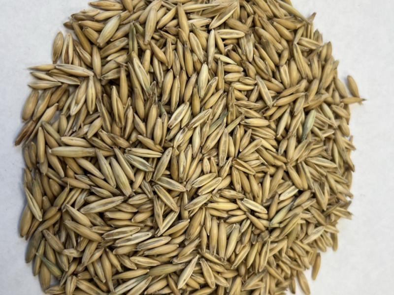 Слайдер слева