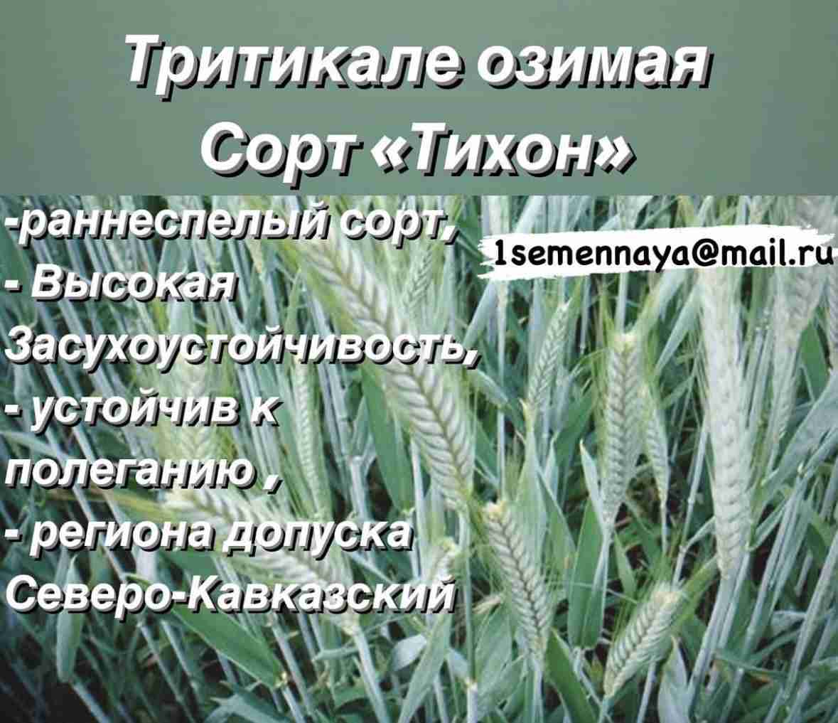 Главное изображение