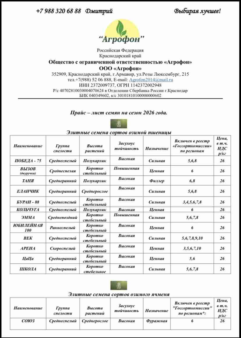 Главное изображение