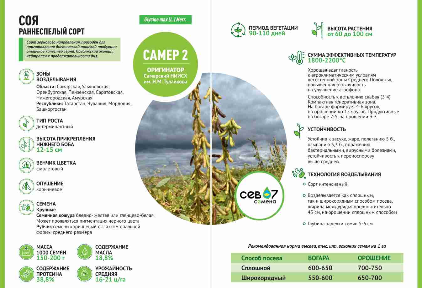 Фотография Семена сои САМЕР 2 (элита)