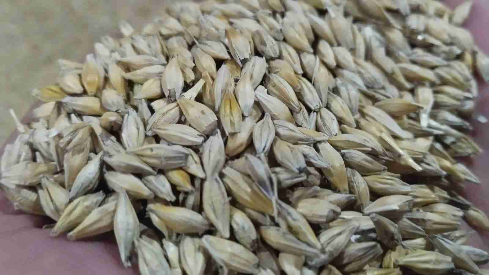 Главное изображение