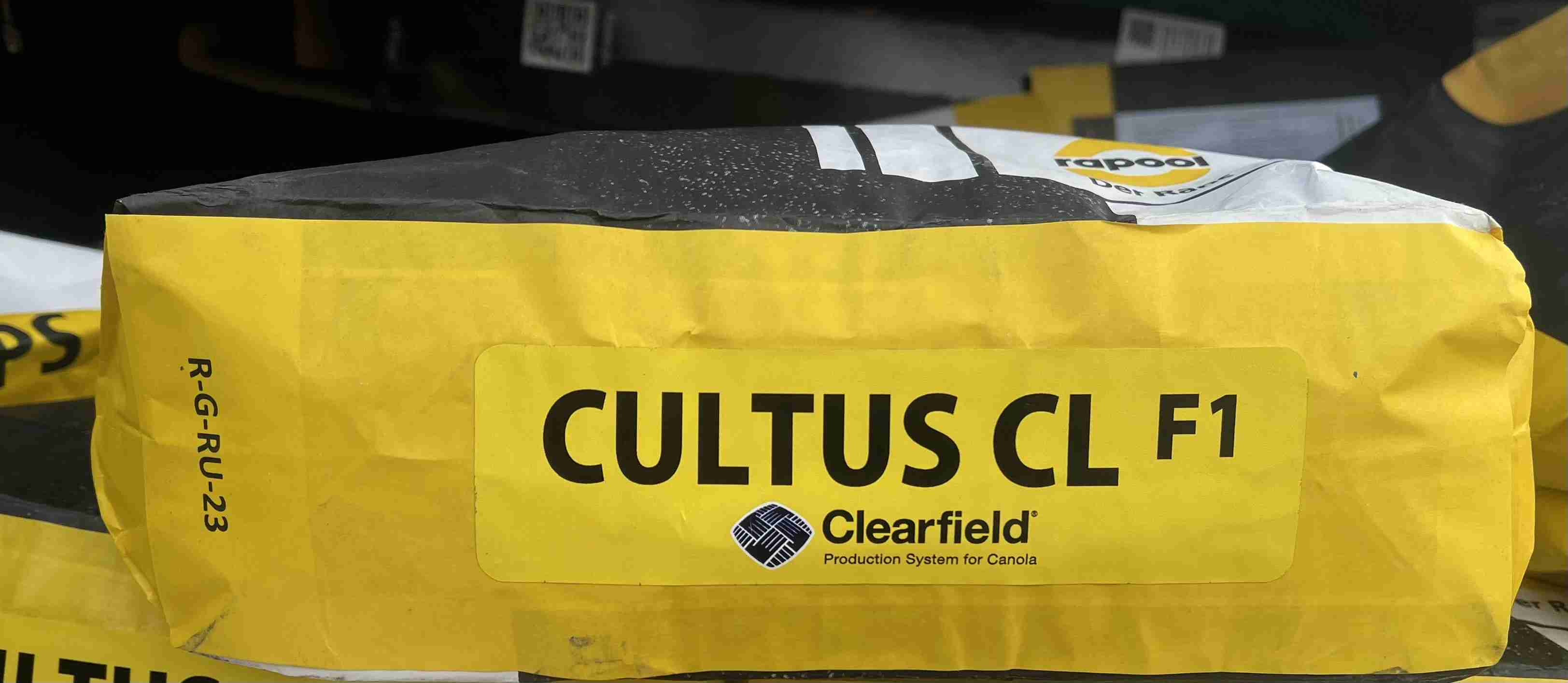 Главное изображение