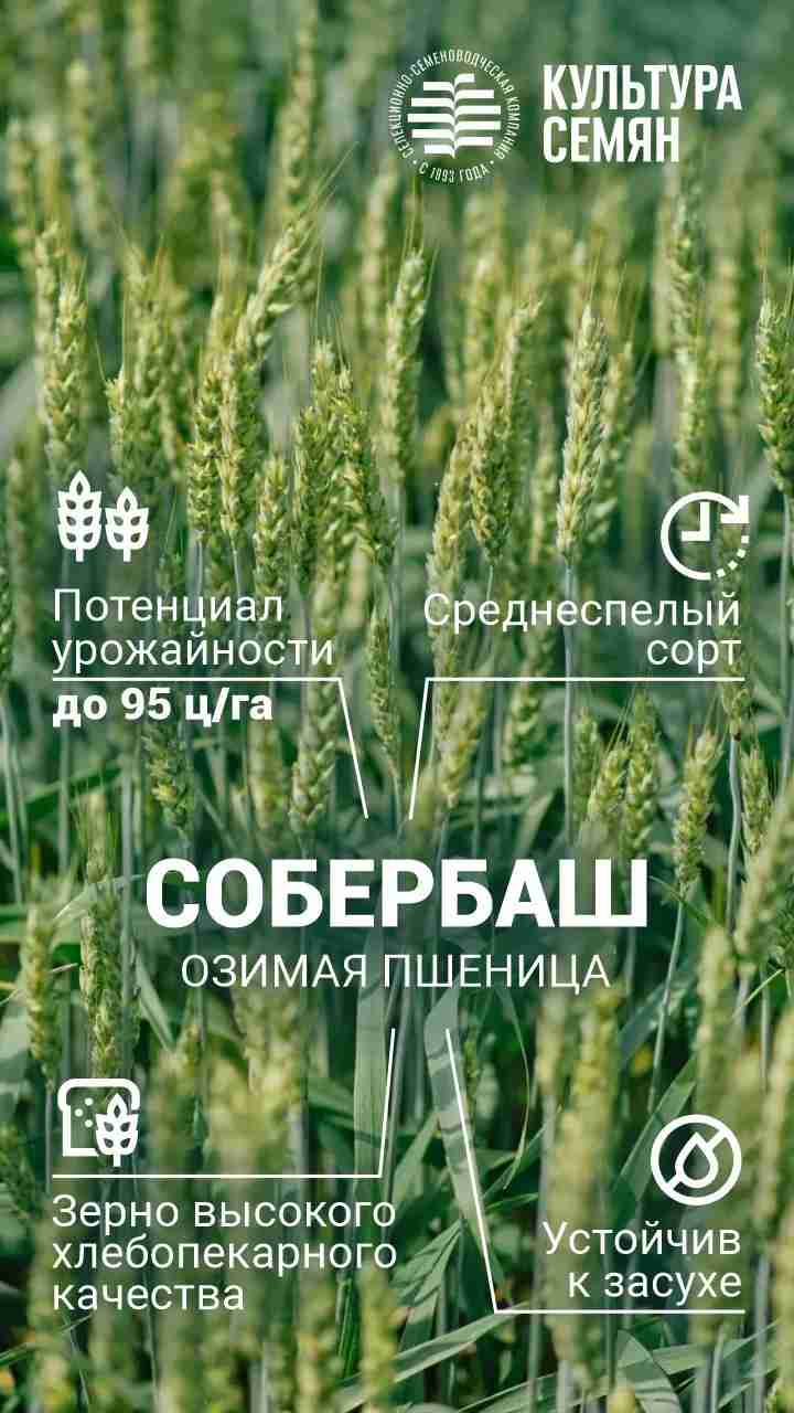 Превью
