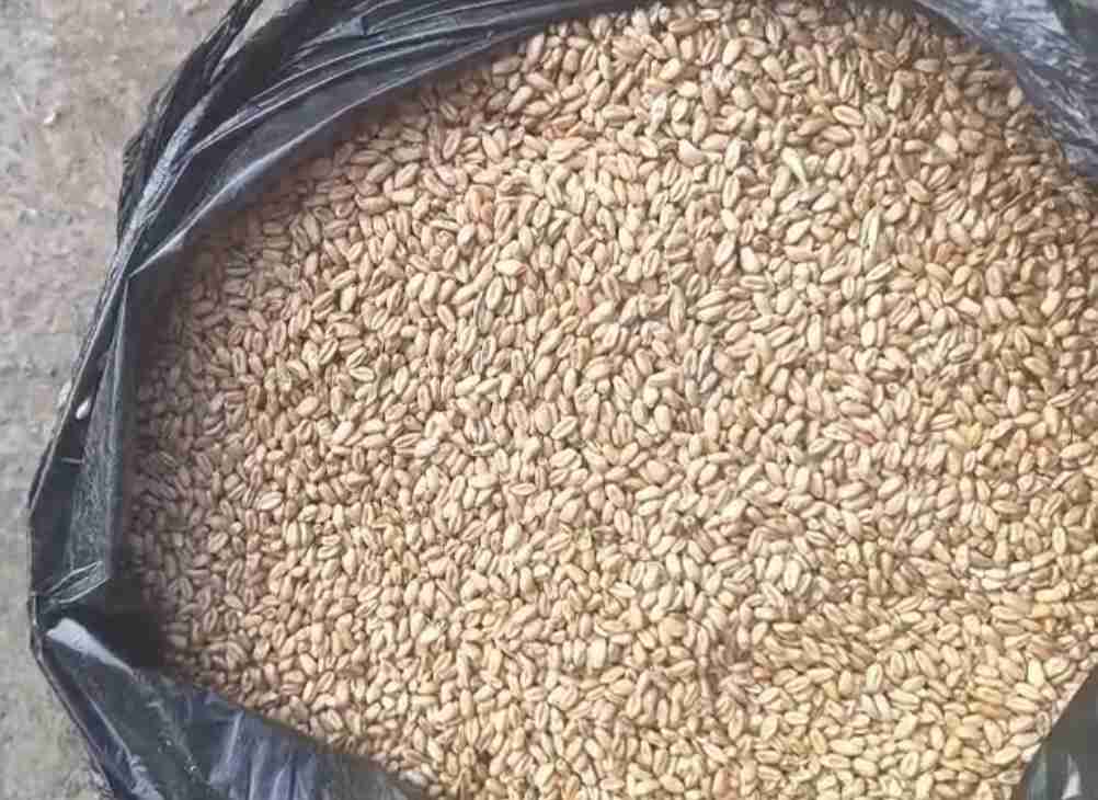 Главное изображение