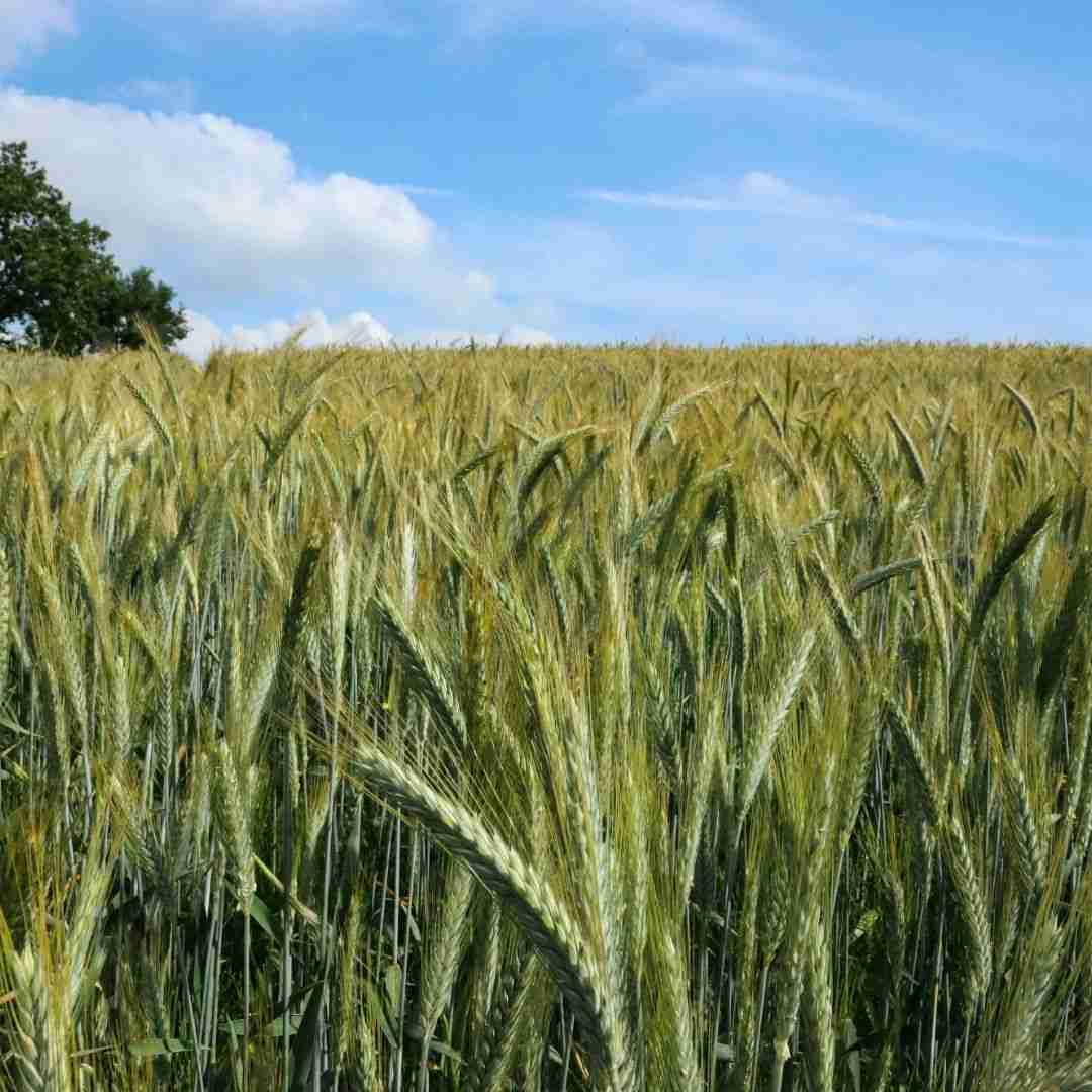 Слайдер слева