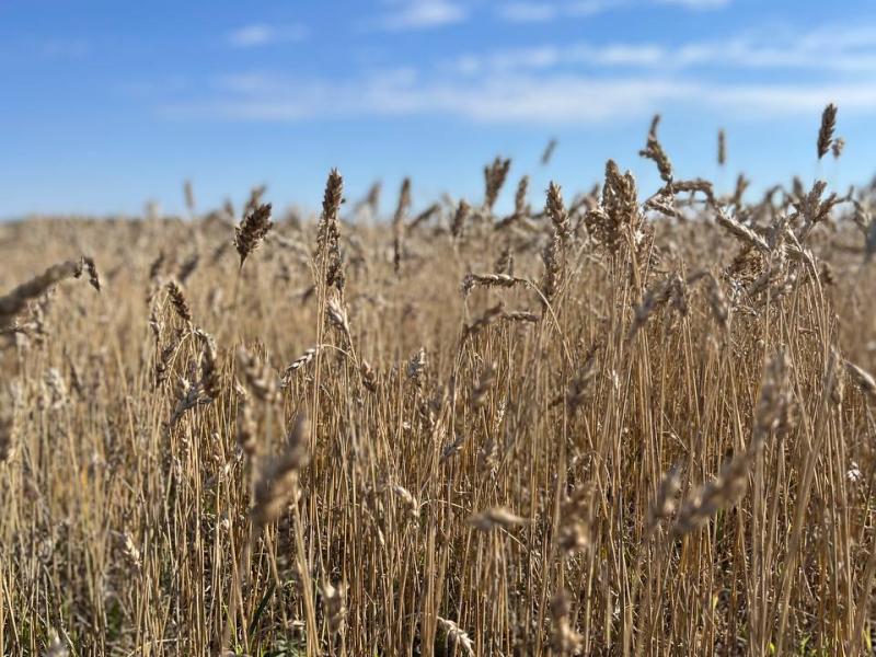 Слайдер слева