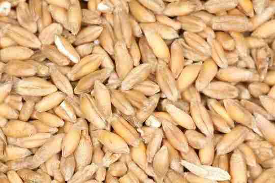 Главное изображение