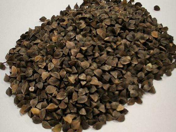 Фотография Куплю Гречиху