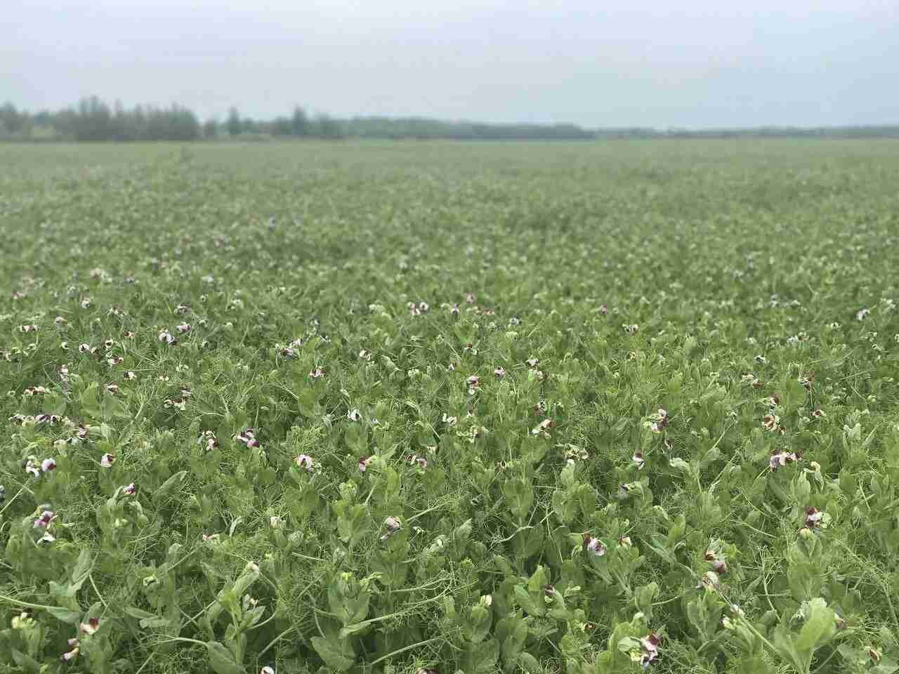 Слайдер справа