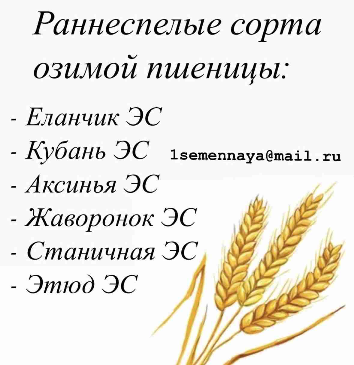 Слайдер слева