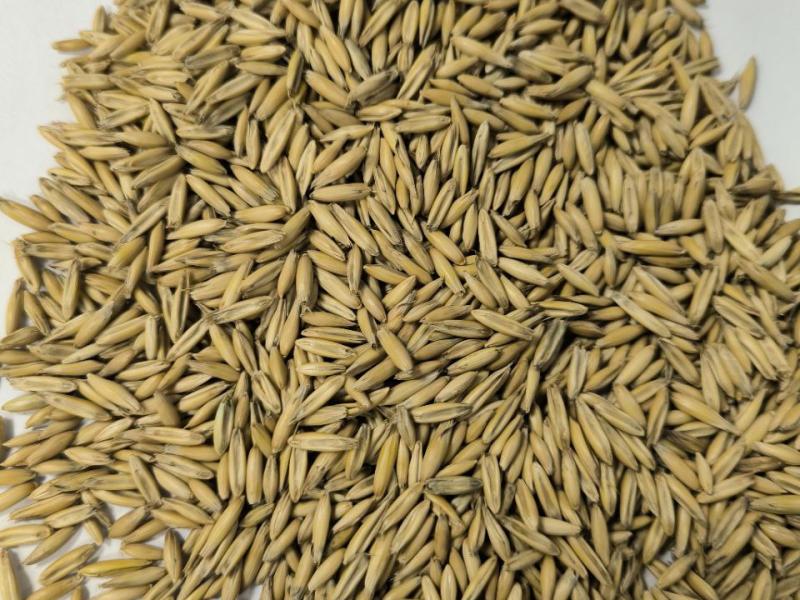 Слайдер слева