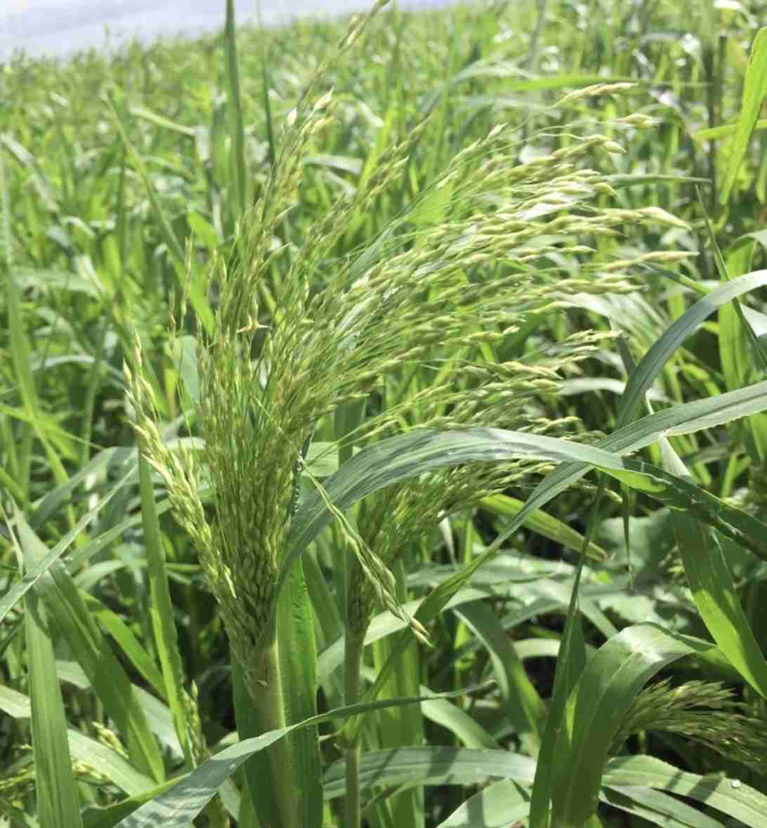 Слайдер слева