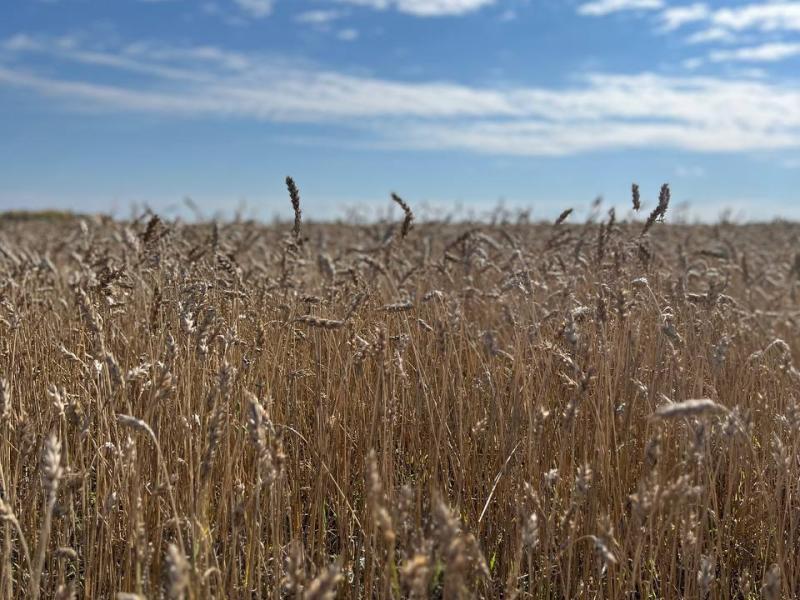 Слайдер слева