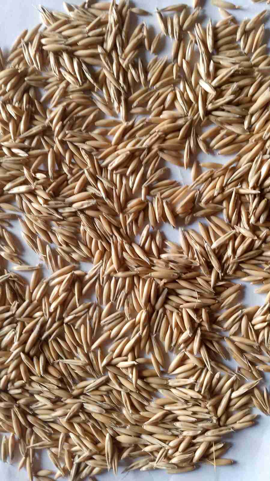 Слайдер слева