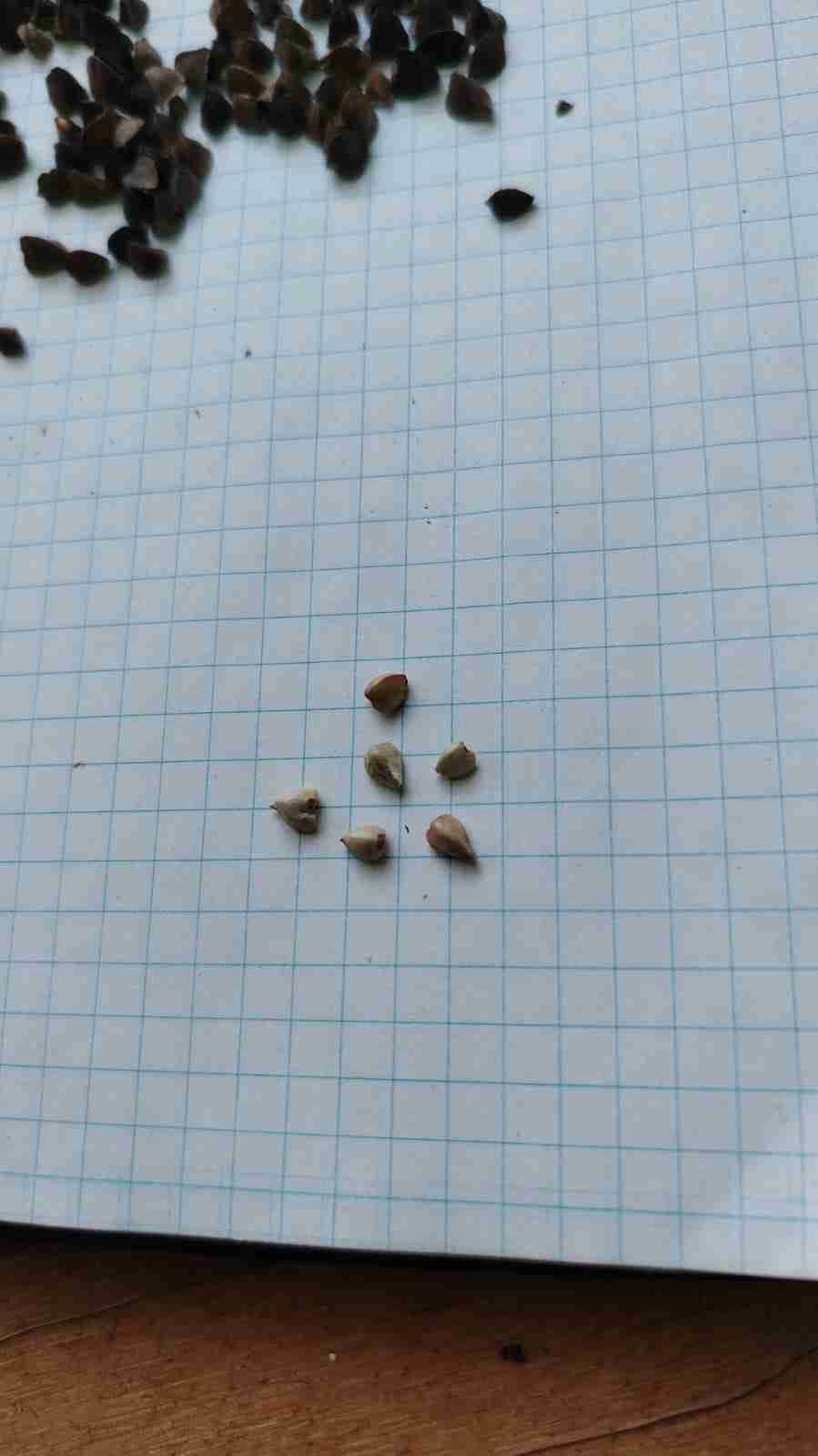 Слайдер слева