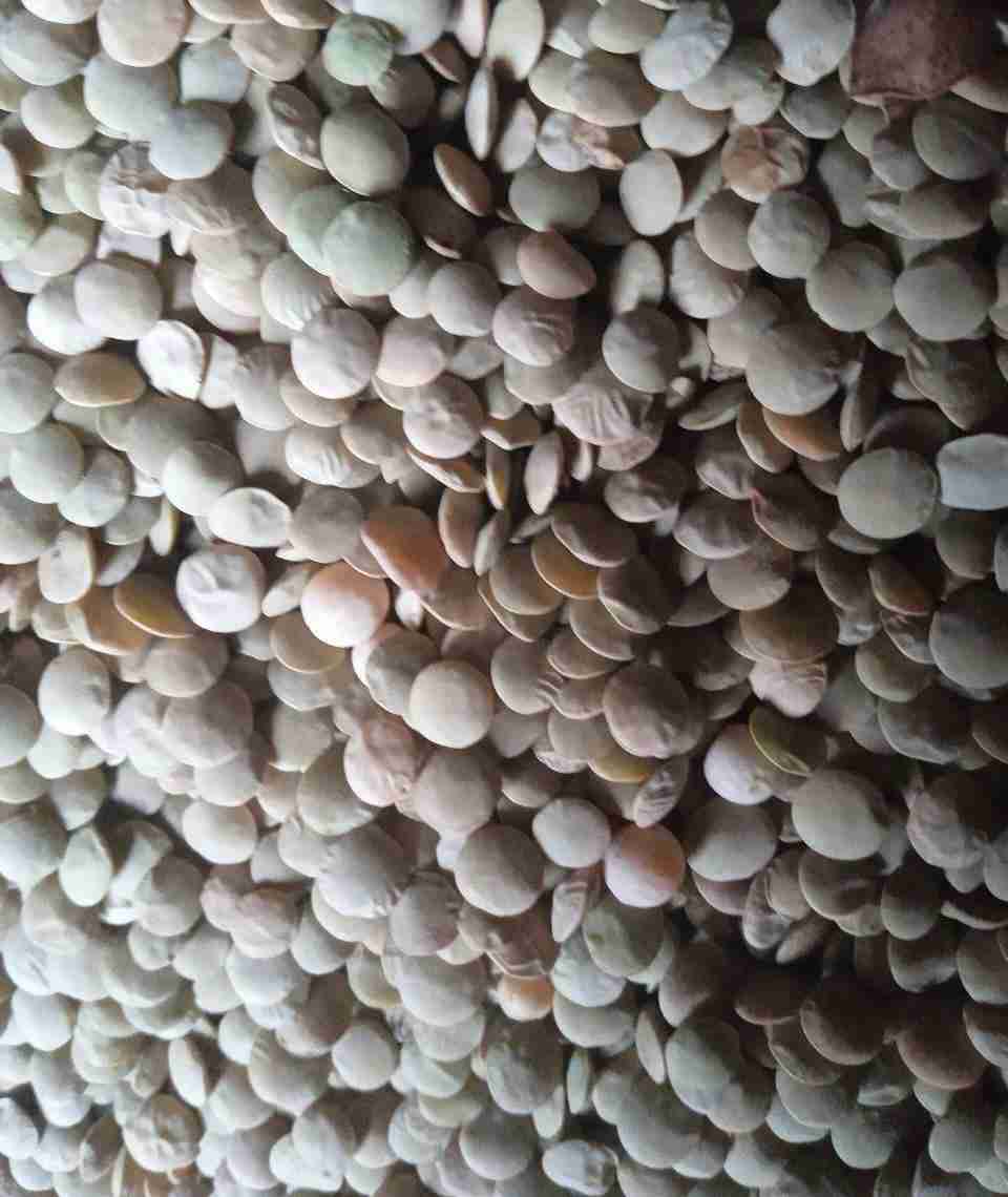 Главное изображение