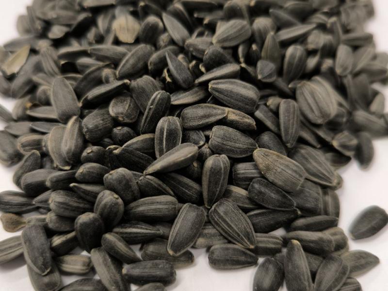 Слайдер слева