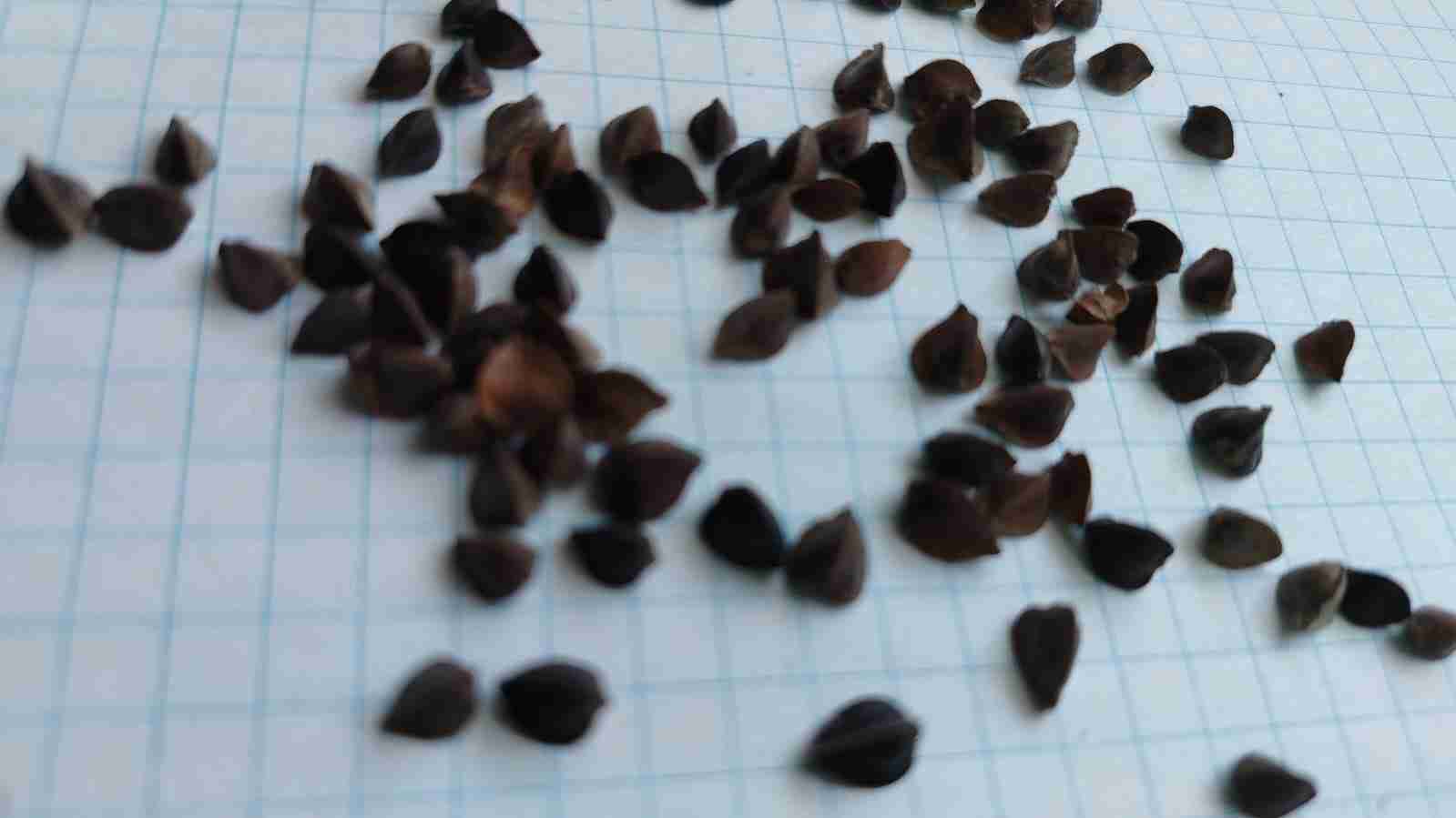 Главное изображение