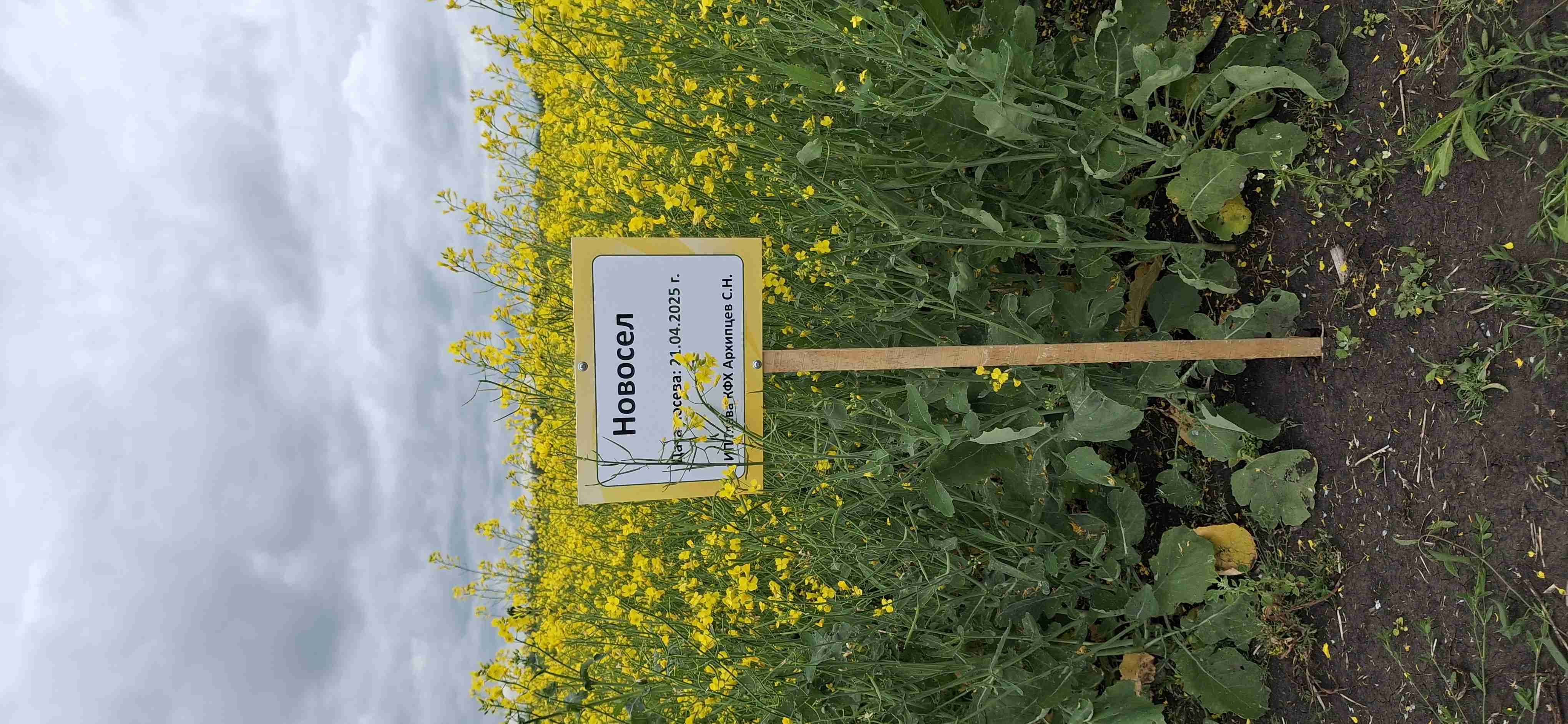 Слайдер слева