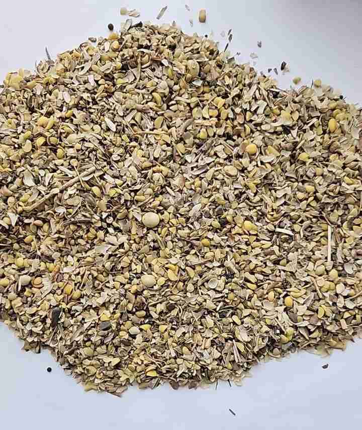 Главное изображение