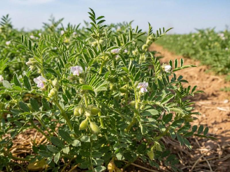 Слайдер слева