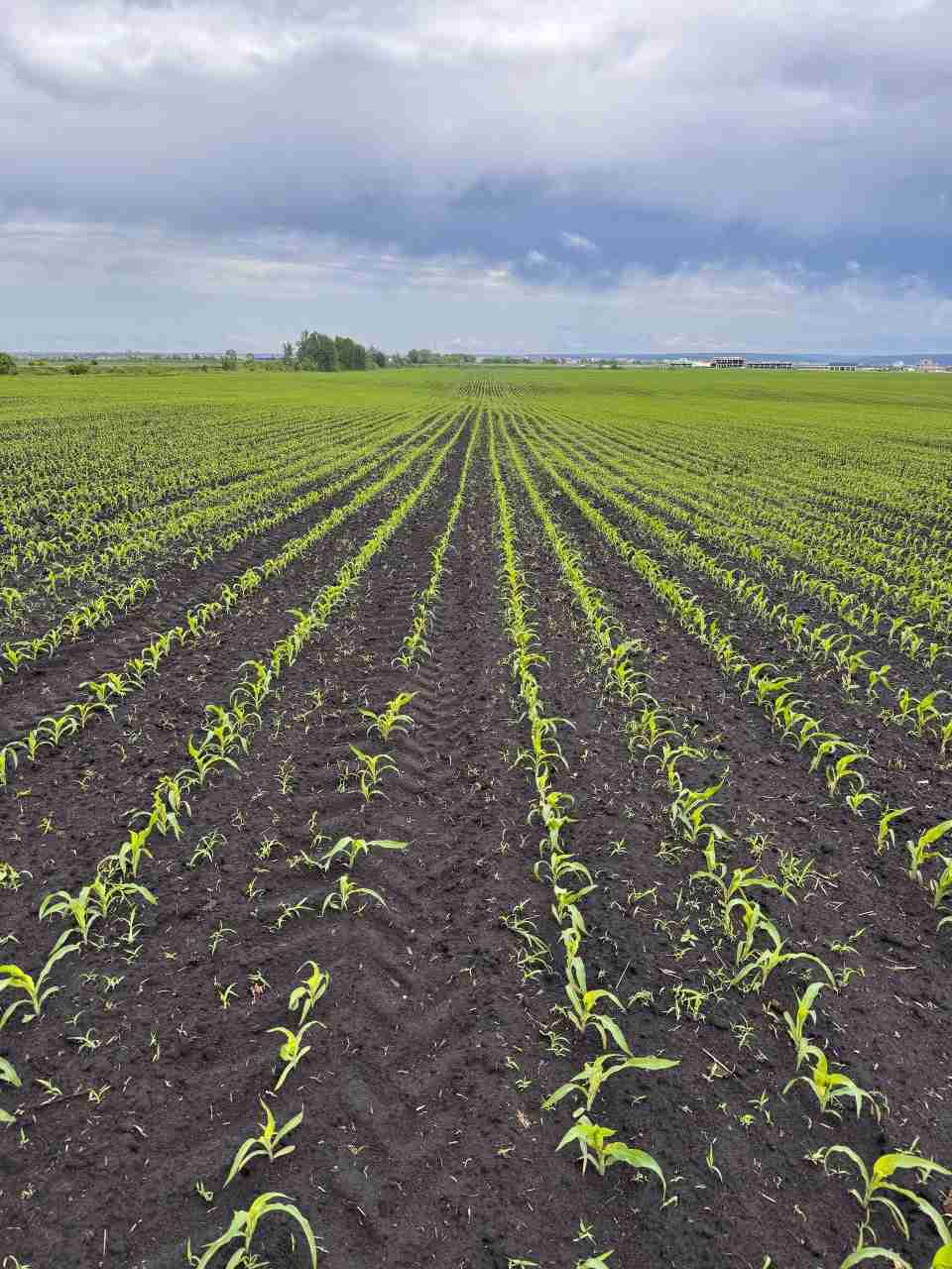 Слайдер слева