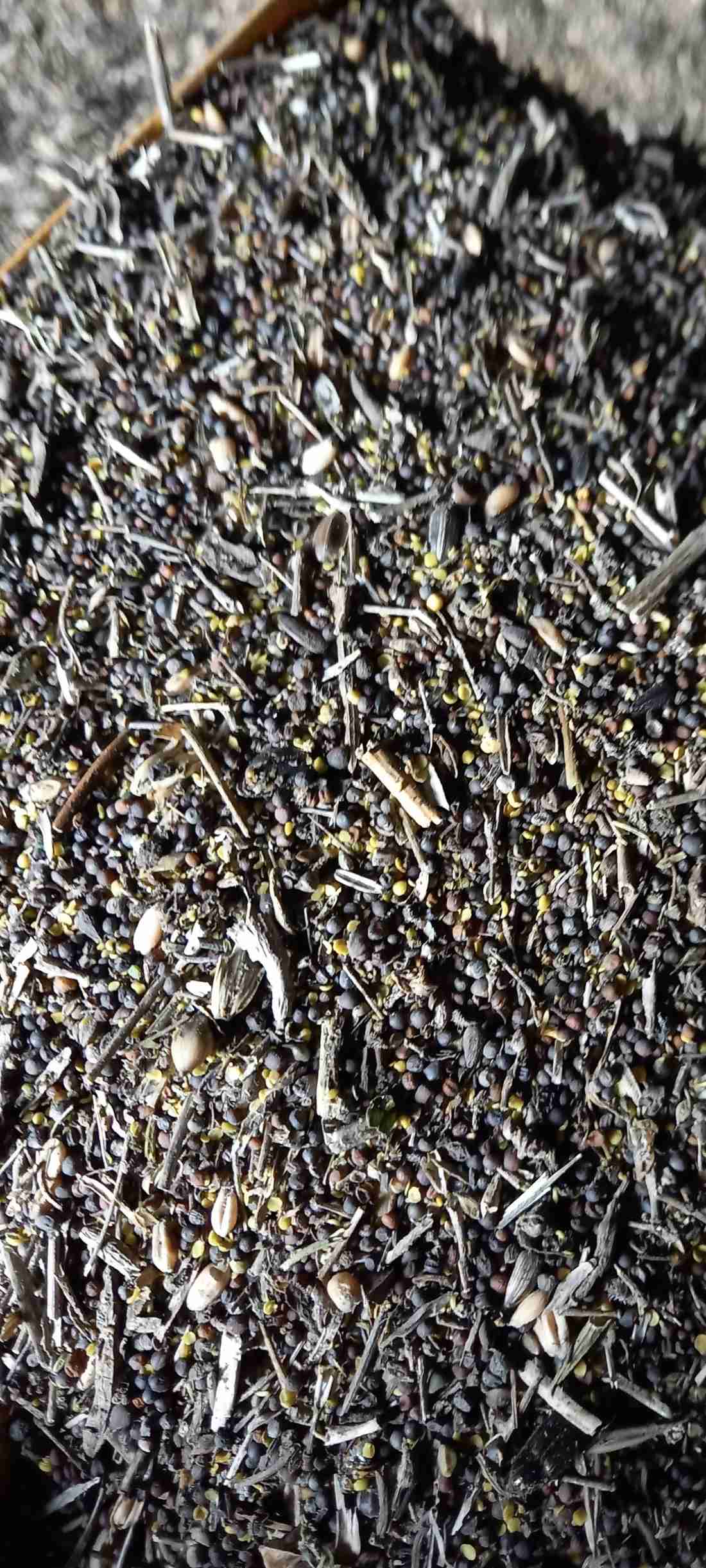 Фотография Рапс отходы.