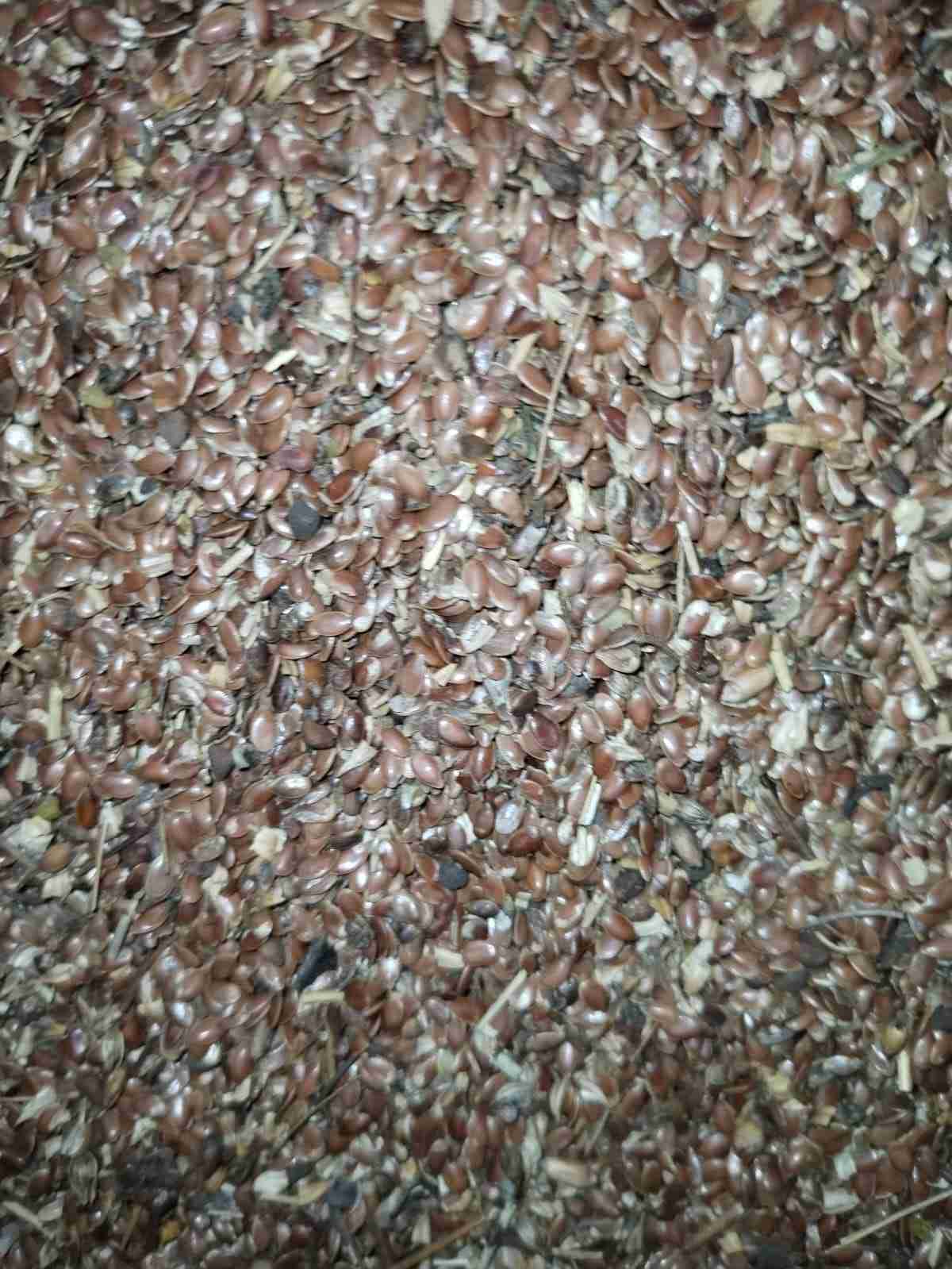 Фотография Закупаем сорный лен.