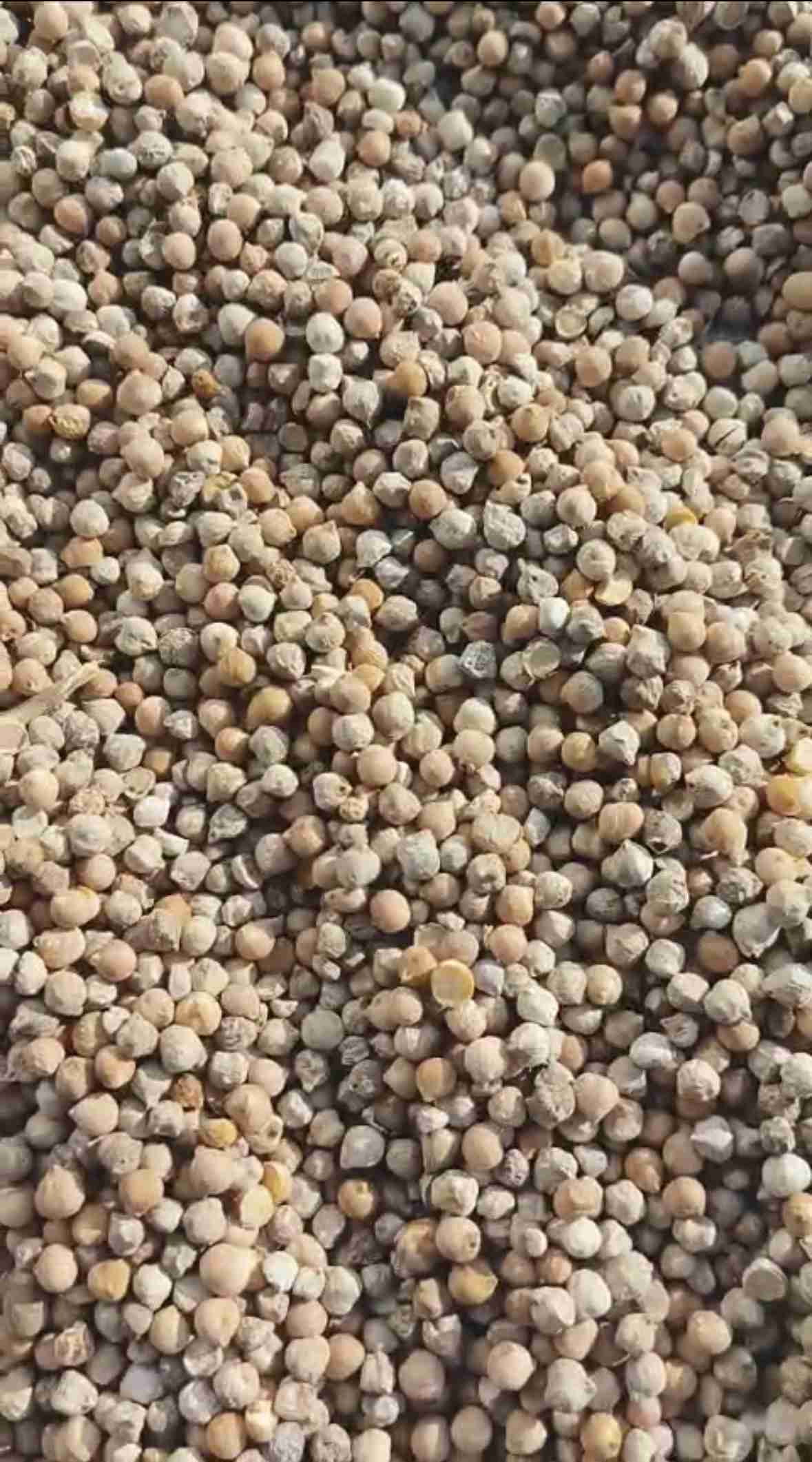 Главное изображение