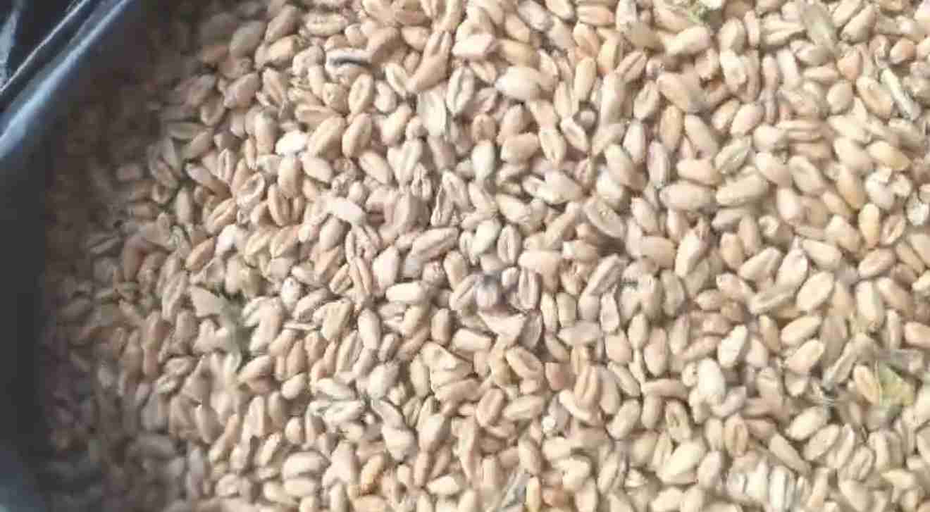 Слайдер справа