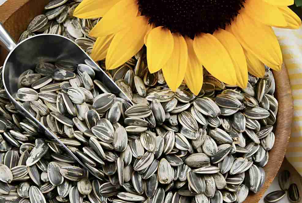 Слайдер слева