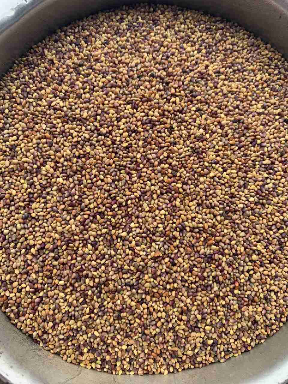 Главное изображение