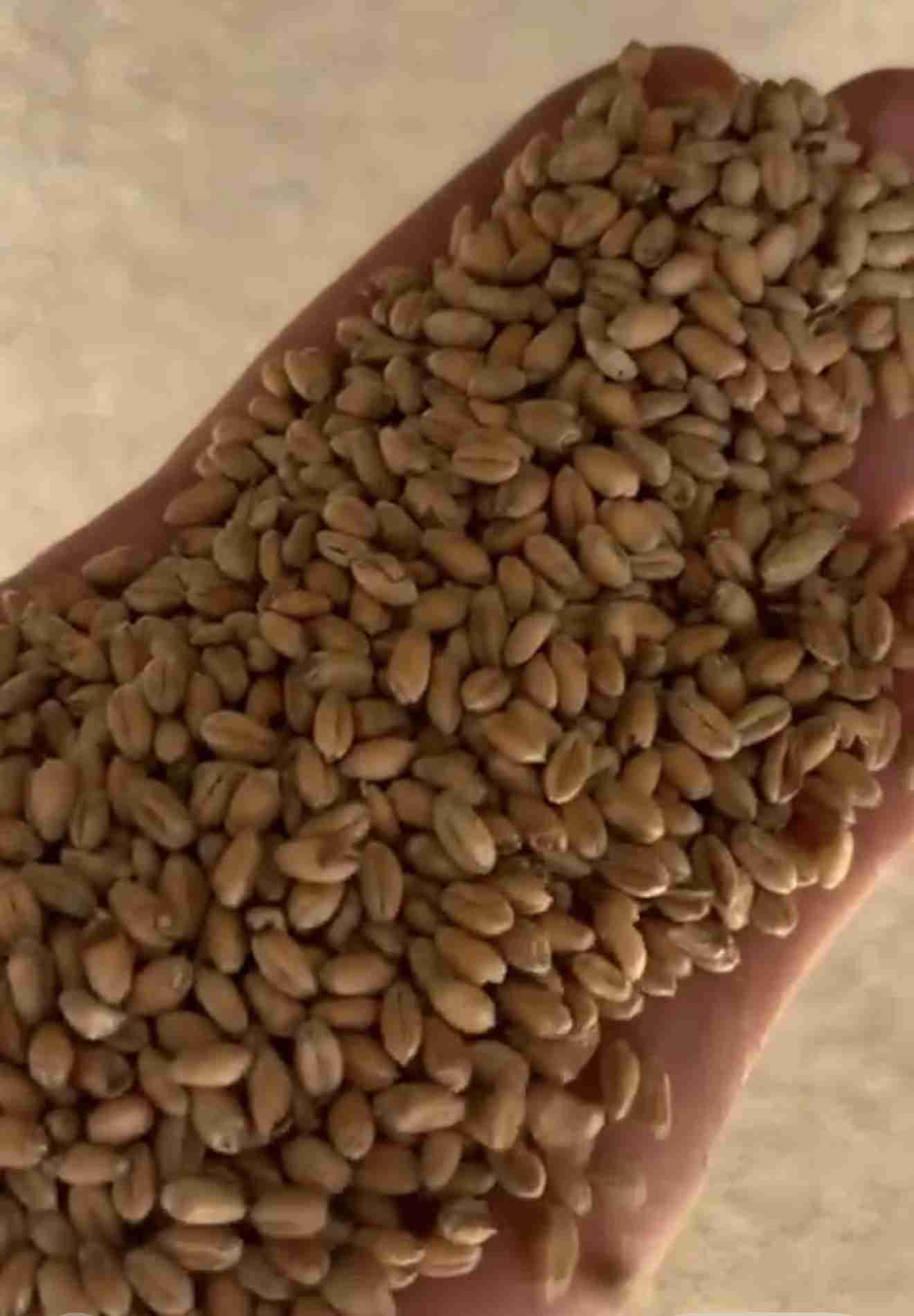 Слайдер справа