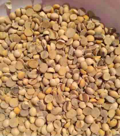 Главное изображение