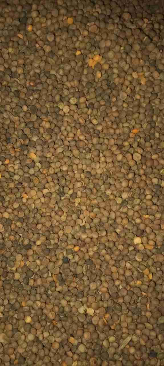 Главное изображение