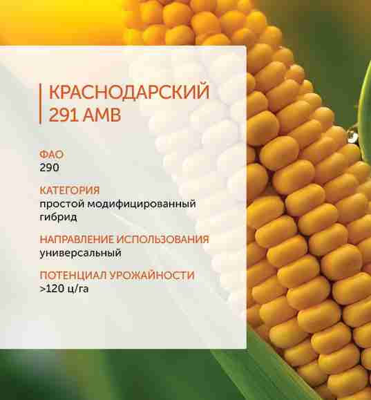 Слайдер слева