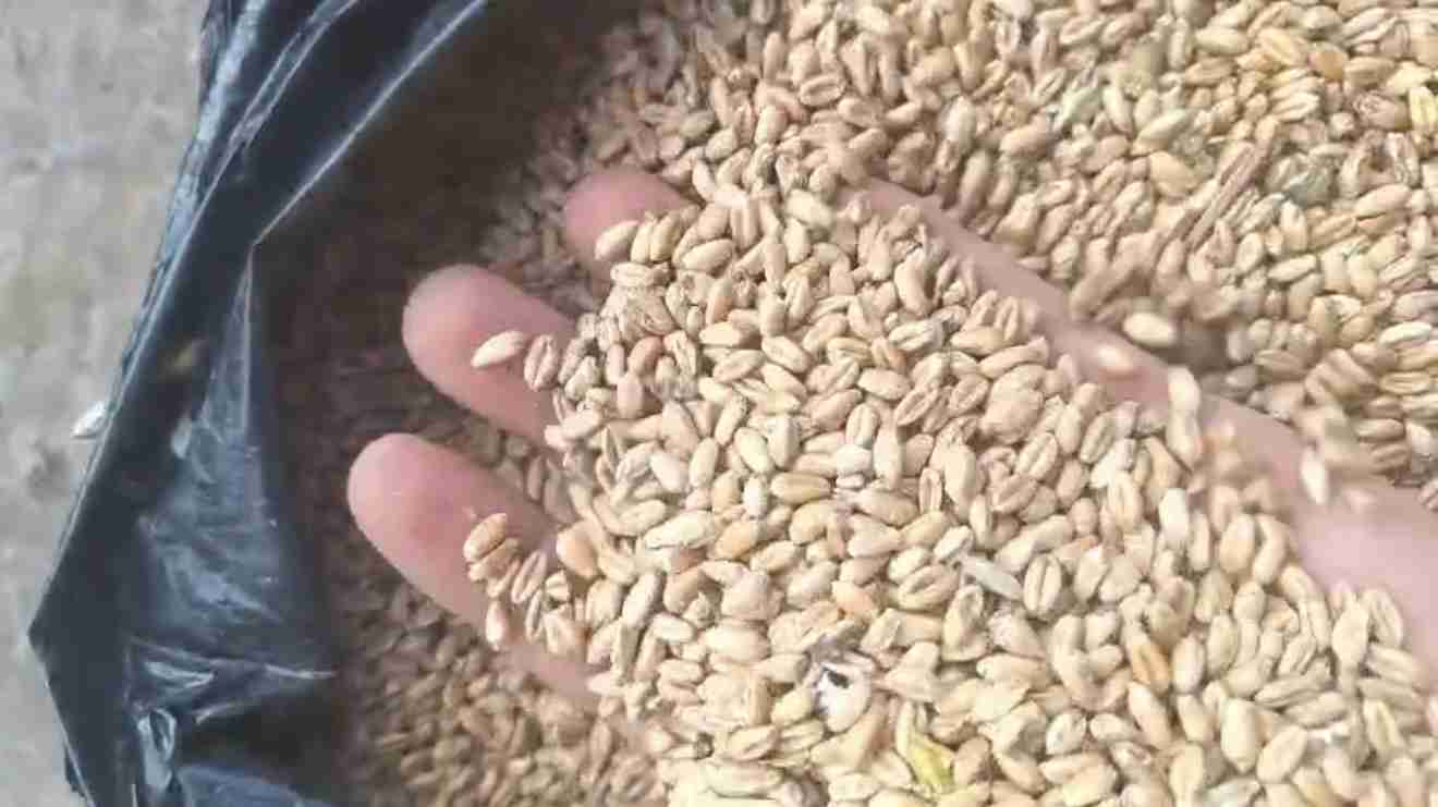 Слайдер слева